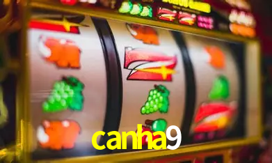 Descubra a Essência do canha9: Nossa História e Compromissos