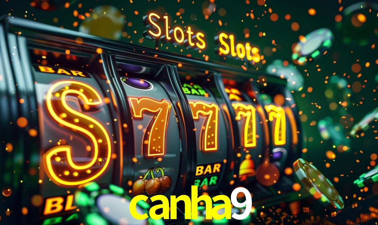 Login Seguro canha9