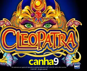 A Experiência Imersiva dos Cassinos Ao Vivo no canha9